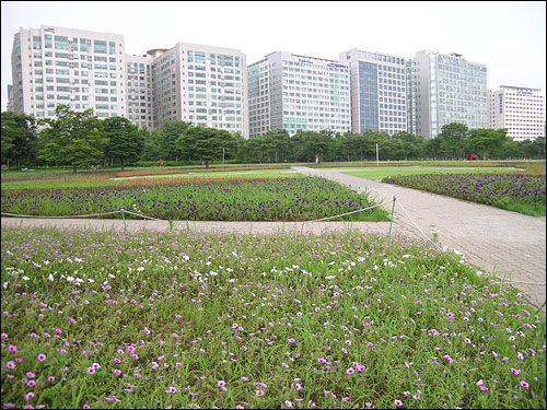 장미원에 펼쳐진 꽃들 : 굳이 꽃 이름을 몰라도 상관없다. 그들이 주는 생기와 여유를 받아 안는 것만으로도 족하다. 